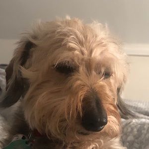 Meet your Posher, Leslie